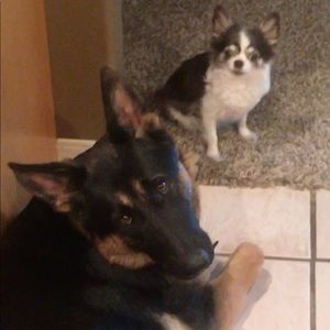 Meet your Posher, Michelle